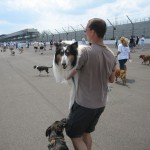 muttstrut09a
