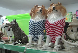 spanish collies