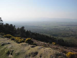 vee gap