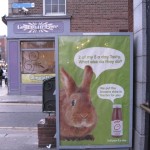 bunny ad dublin