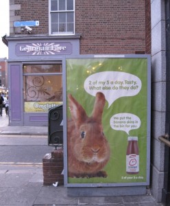 bunny ad dublin