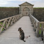 waltercharlesfort