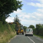 hedgetrim