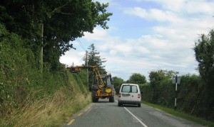 hedgetrim
