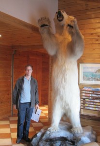 polar bear