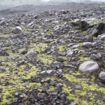 glacierhike7 glacierhike7