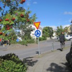 reyktree