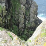 5skelligmichael