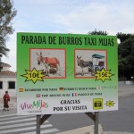 burro burro