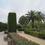 garden garden