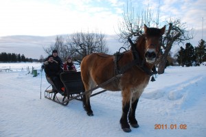 sleigh